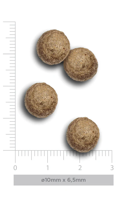 Quatro esferas castanhas pequenas com textura granulada