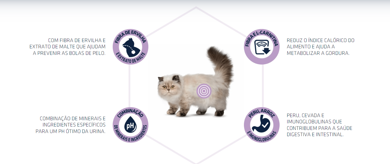 Imagem com um gato cercado por texto descritivo em português sobre ingredientes e benefícios do produto para gatos