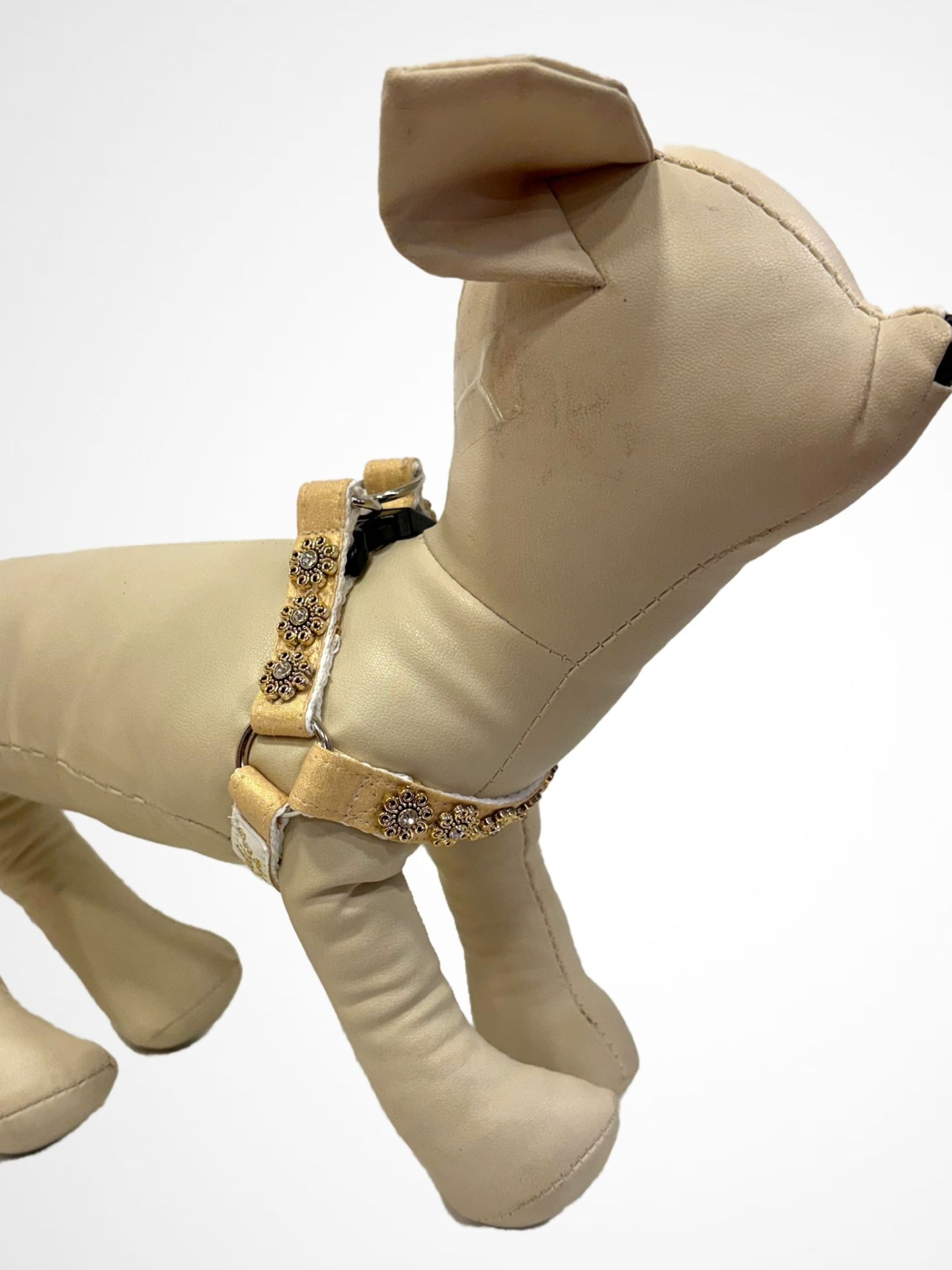 Modelo de cão bege com peitoral decorado
