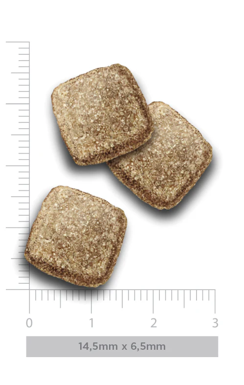 Três croquetes quadrados castanhos com textura granulada ao lado de régua