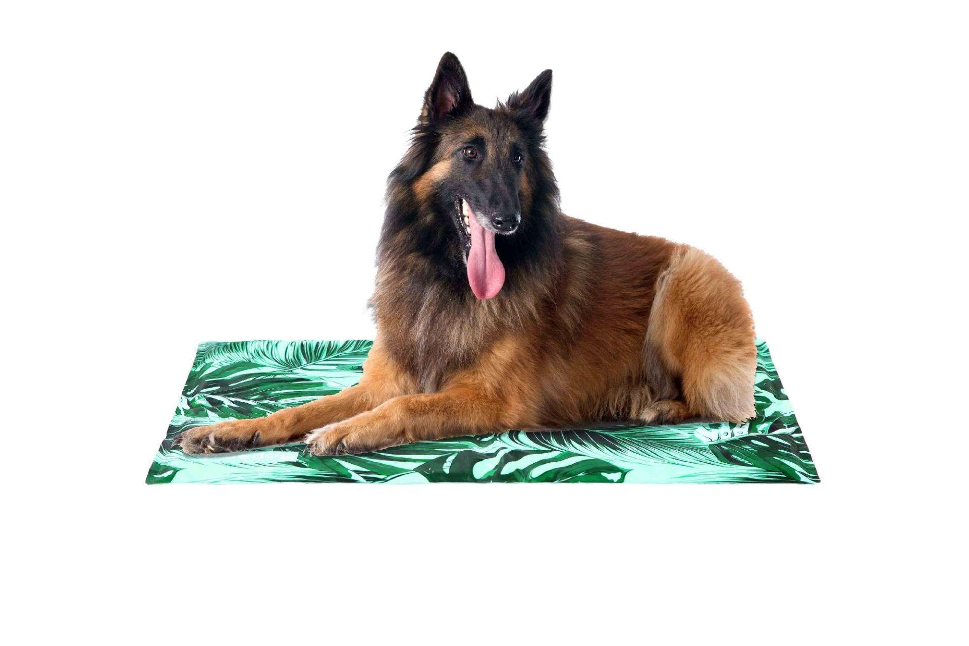 Cão grande castanho e preto deitado em manta com folhas verde