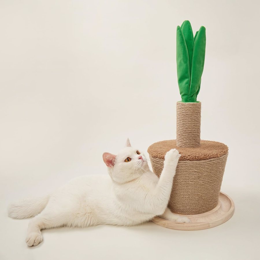 Rasquilha para gatos com poste revestido a corda sisal e decoração verde, com gato branco ao lado.