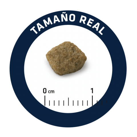 Pedaço pequeno de ração castanha com escala em centímetros e texto TAMAÑO REAL