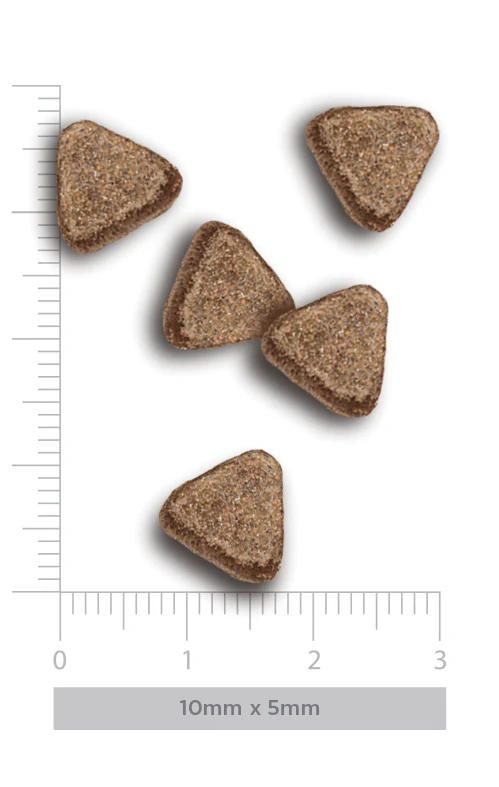 Cinco pedaços de ração triangular castanha clara com régua para escala