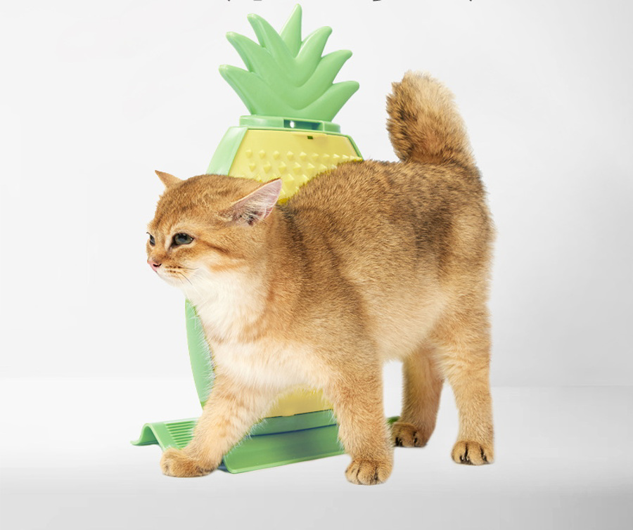Gato castanho e raspador em forma de ananás