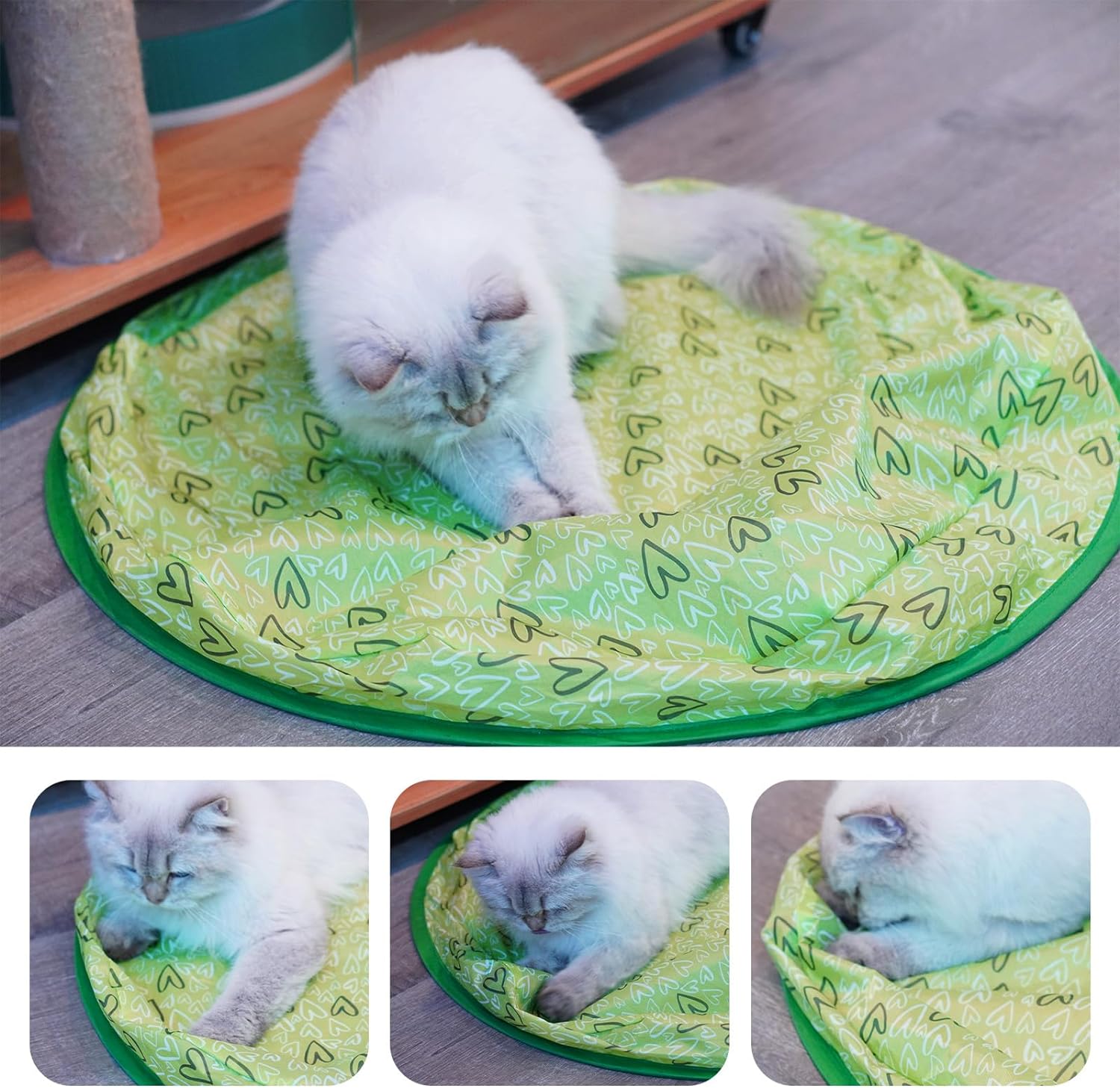 Gato branco deitado em tapete redondo verde com padrão de corações