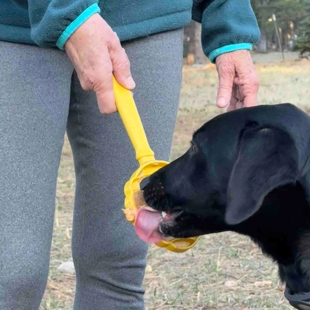 Brinquedo amarelo para cão com pessoa e cão no exterior