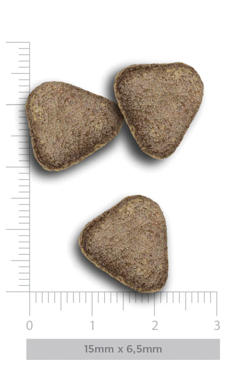 Três pedaços de ração triangular castanha com escala em fundo branco