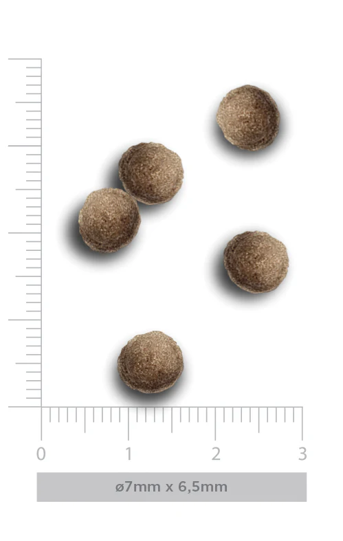 Cinco bolas castanho claro com textura rugosa e escala em milEDmetros