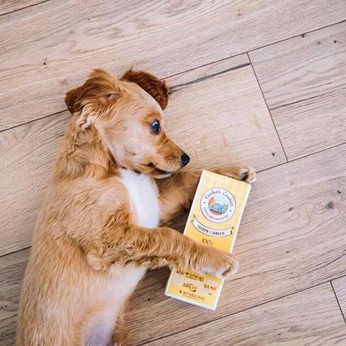 Cão castanho segurando embalagem amarela de queijo no chão de madeira