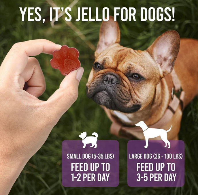 Gelatina vermelha em forma de pata segurada por mão com cão castanho ao fundo e texto sobre alimentação de cães.