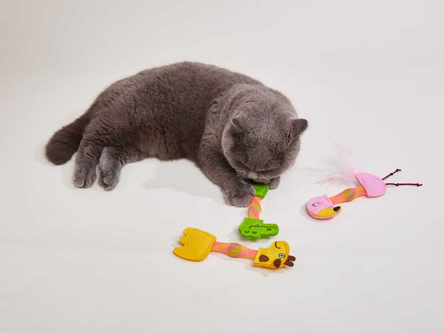 Gato cinzento a brincar com brinquedos coloridos de tecido com formas de animais sob fundo branco