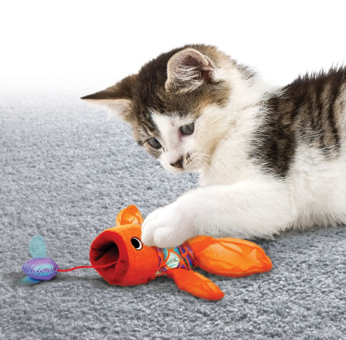 Gato branco e castanho a brincar com brinquedo de peluche laranja em tapete cinzento