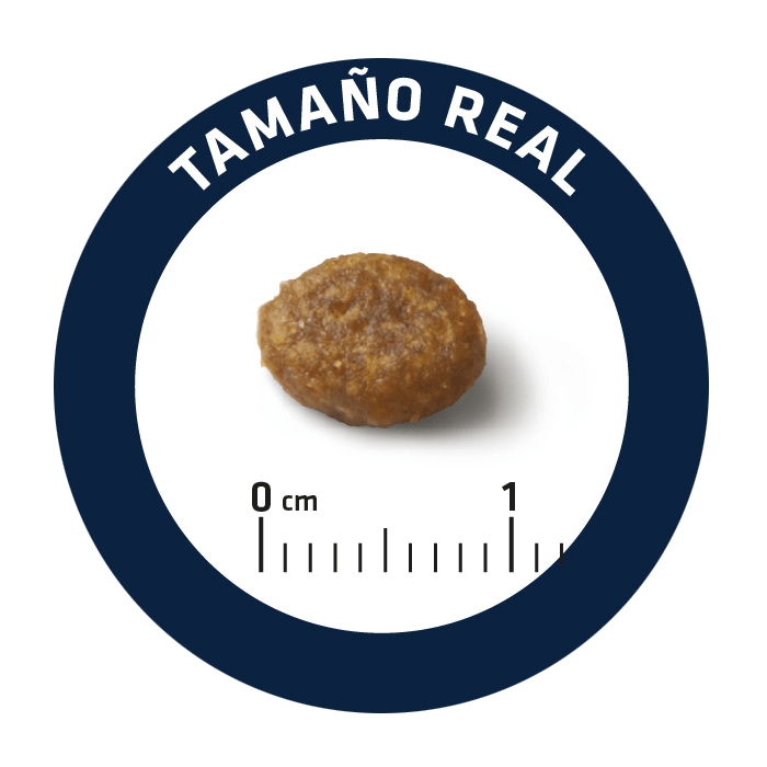 Imagem de petisco redondo castanho com escala em centímetros e texto Tamaño Real
