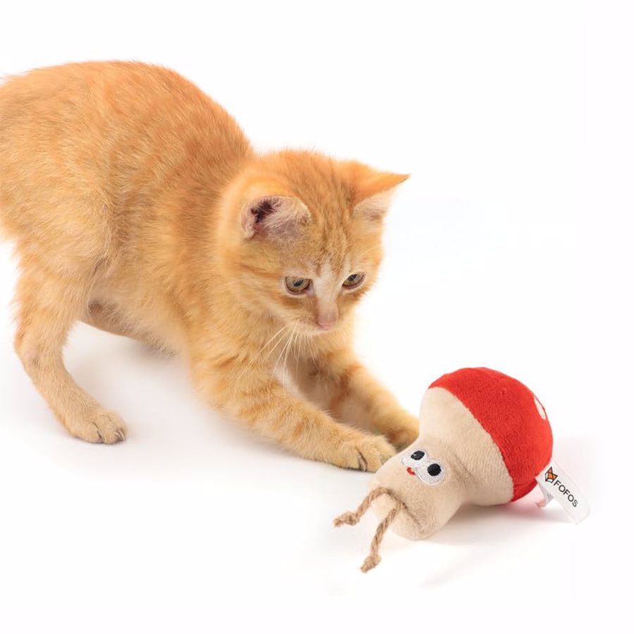 Gato a brincar com brinquedo em forma de cogumelo vermelho e bege