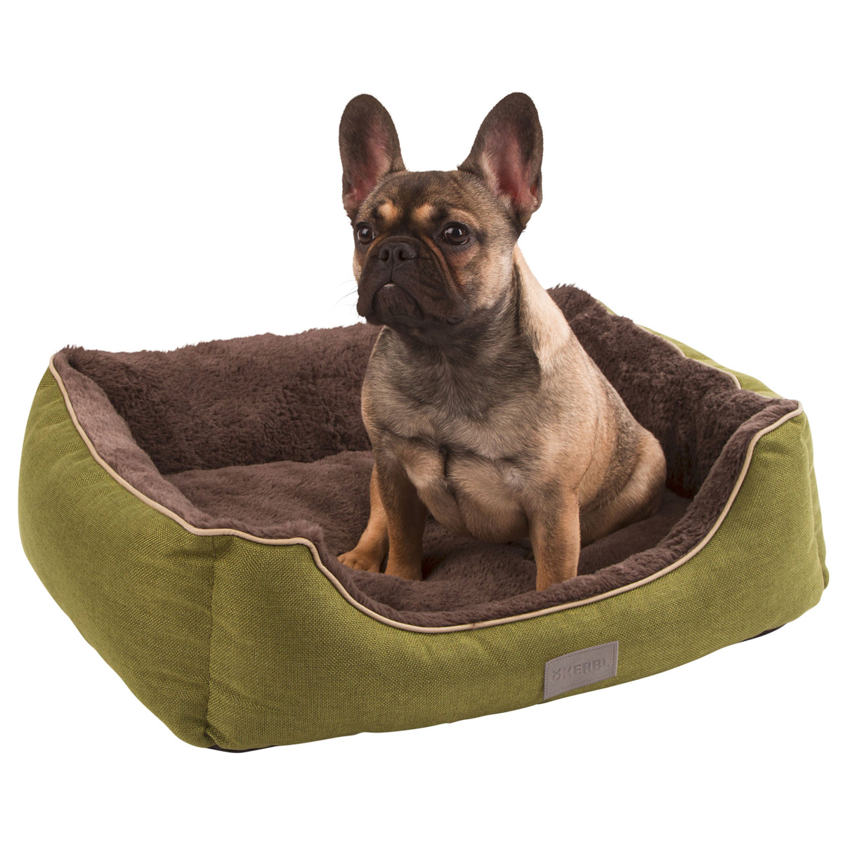 Cama para cães verde com interior castanho e cão pequeno sentado