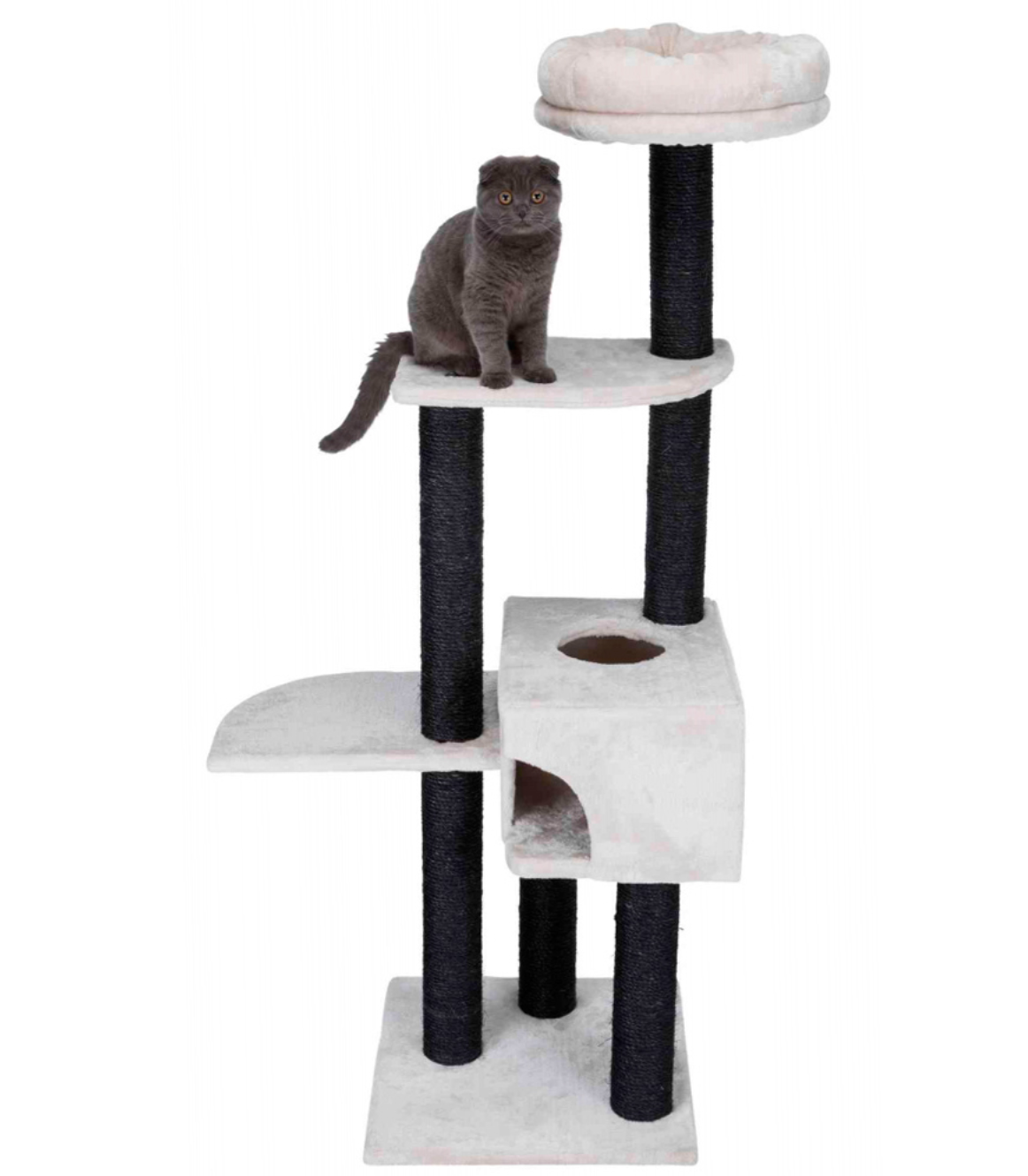 Arranhador para gatos bege com postes pretos e gato cinzento sentado