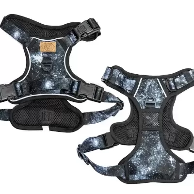 Peitorais para cães padrões estrelas brancas em fundo preto com fivelas ajustáveis e etiqueta de couro