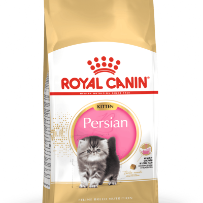 Embalagem de alimento para gatos Royal Canin Kitten Persian com imagem de gato cinzento