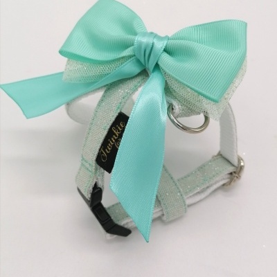 Coleira branca com laço azul-turquesa e etiquetas negras com texto dourado