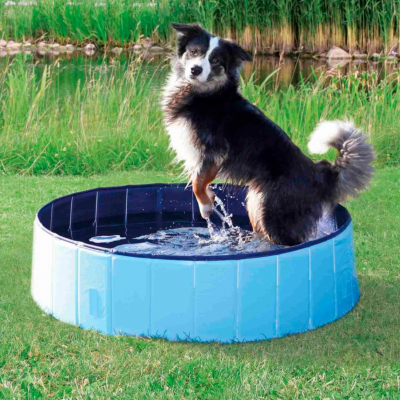 Piscina portátil azul para cães com cão dentro a levantar pata.