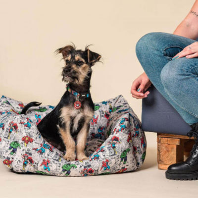 Cachorro pequeno numa cama estampada de cães com pessoa ao lado sentada