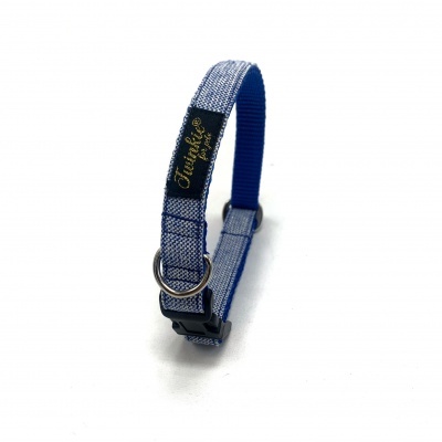 Coleira azul para animal de estimação com etiqueta preta e fecho preto