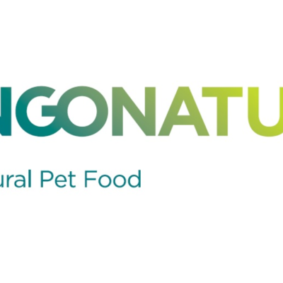 Logotipo DINGONATURA com texto 'Top Natural Pet Food'