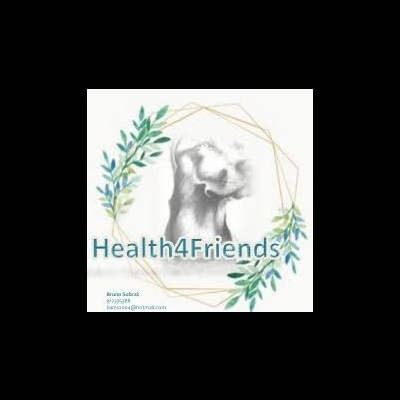 Logótipo com figura anatómica, ramos verdes, estrutura geométrica dourada e texto Health4Friends