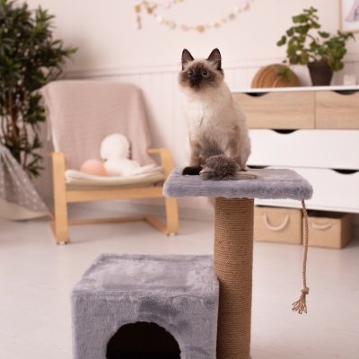 Arranhador cinza para gatos com gato sentado na plataforma, em ambiente interior com móveis e plantas