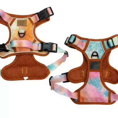 Dois peitorais coloridos para animais com tiras ajustáveis e acolchoamento marrom