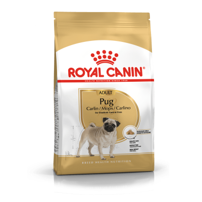 Pacote de ração Royal Canin para cães adultos Pug em fundo branco e dourado