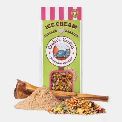 Caixa de comida para cães verde e rosa com ração colorida, pó e osso