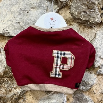Camisola vinho para cão com letra P xadrez em cabide na parede de pedra