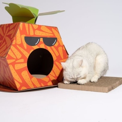 Abrigo para gatos em formato de cenoura com gato branco ao lado num tapete de rascagem.