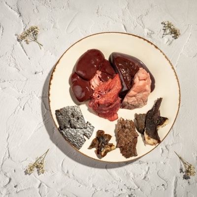 Prato com diferentes pedaços de carne crua e desidratada em fundo branco texturado