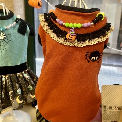 Roupinha de Halloween laranja para animal com decoração de aranha e colar colorido