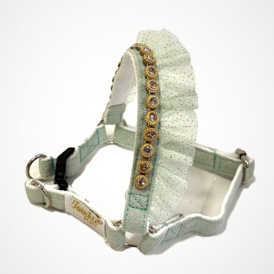 Arnês verde claro com renda e pedras brilhantes para animal de estimação