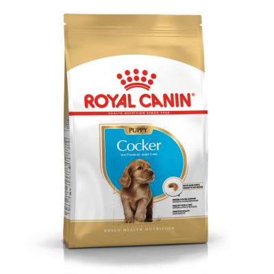 Saco de ração Royal Canin para cachorros da raça Cocker com cores dourado, branco e azul