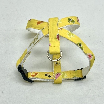 peitoral amarelo para animal de estimação com padrão de frutas e óculos escuros