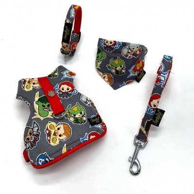 Conjunto de acessórios para cães com padrão de personagens de desenhos animados coloridos sobre fundo cinza.