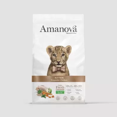 Saco branco de comida para gatinhos Amanova com imagem de leão bebê e texto informativo.