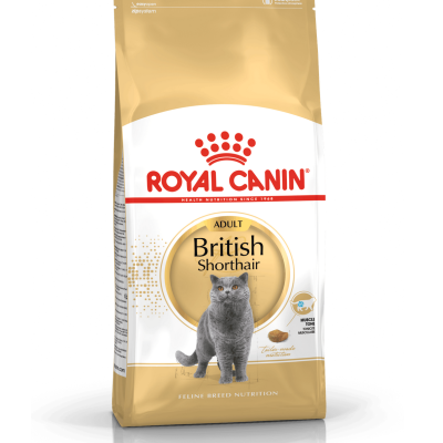 Embalagem de ração Royal Canin para gato British Shorthair adulto