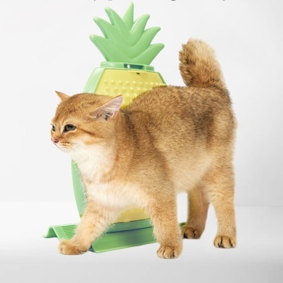 Gato castanho e raspador em forma de ananás