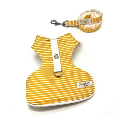 Coleira e peitoral amarelo às riscas para cão pequeno