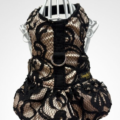 Vestido para cão bege com renda preta e alça com anilha metálica.