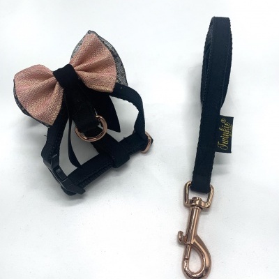 Peitoral com laço rosa e preto e trela preta com mosquetão dourado