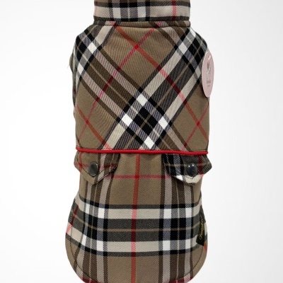 Casaco xadrez bege para cão com botões e etiqueta redonda