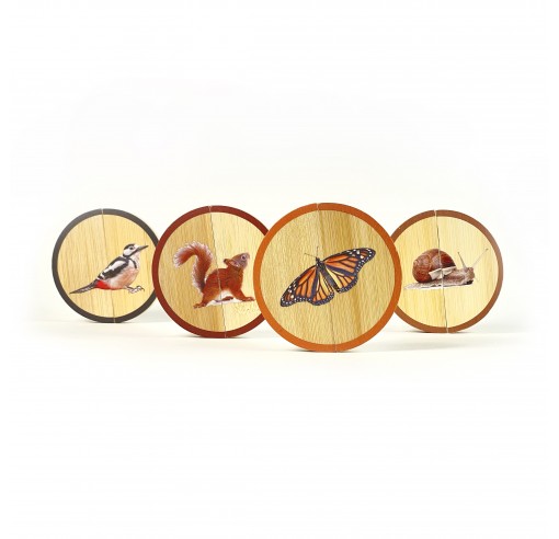 Tábuas de madeira redondas com pinturas de animais e insetos em cores naturais