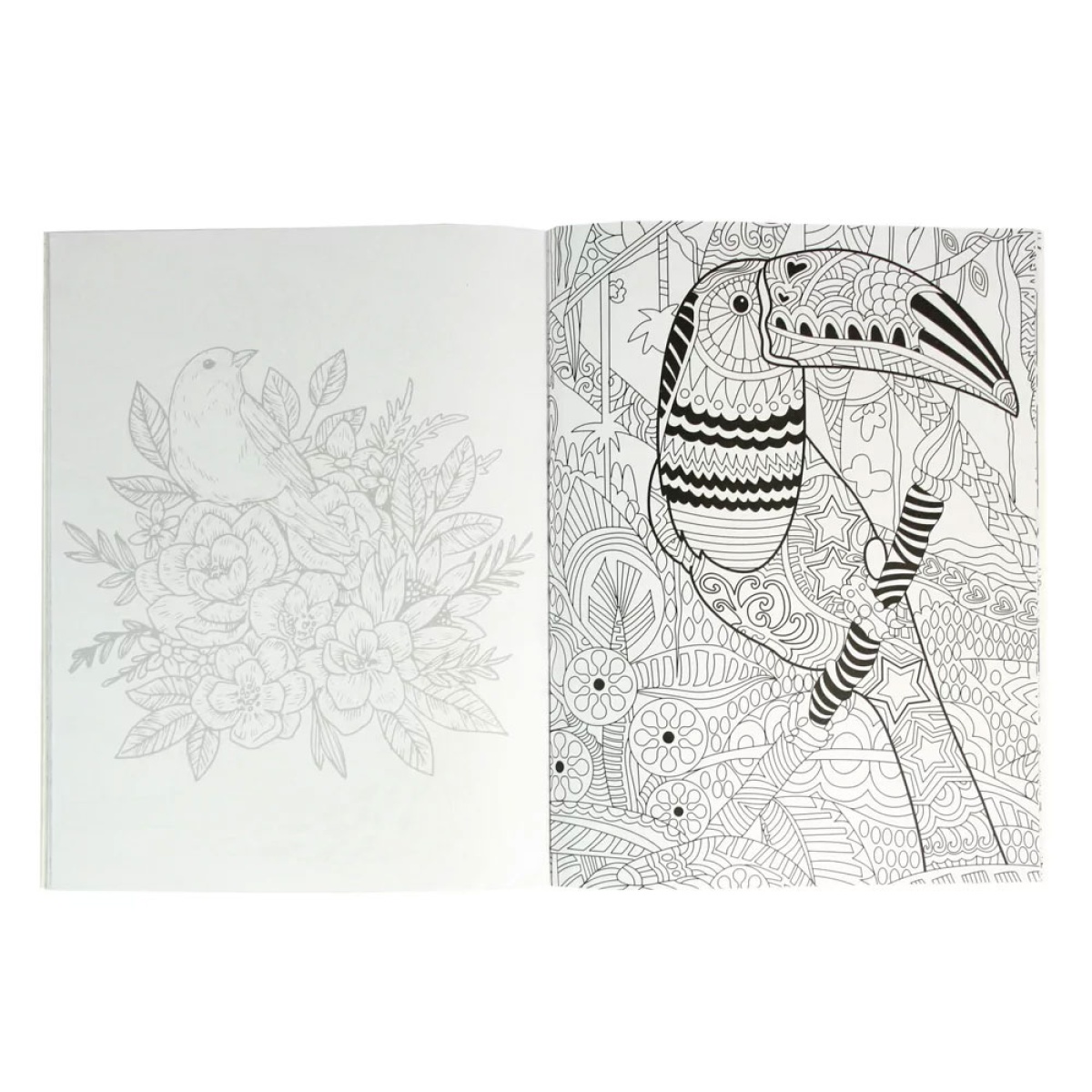 Livro de colorir aberto com desenhos em preto e branco de pássaros